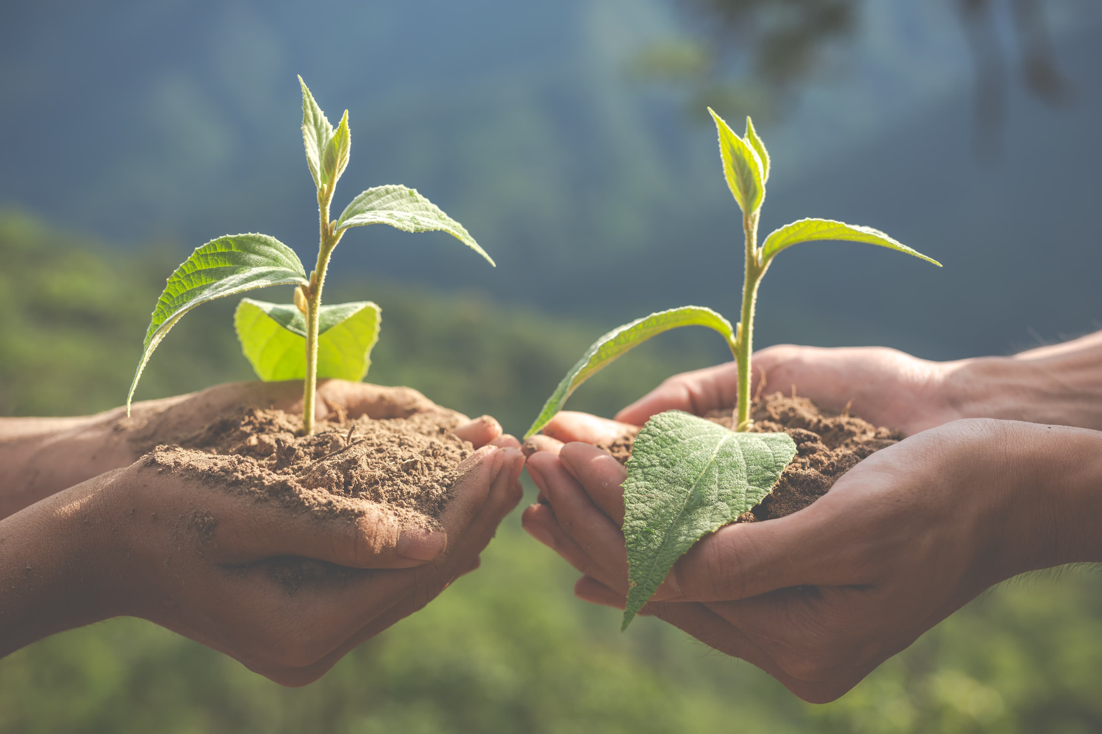 Sustainability Commitment